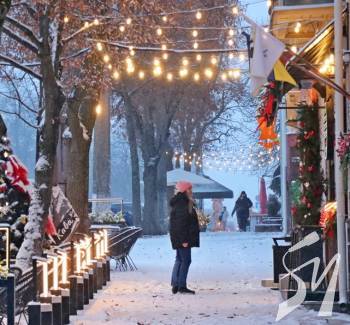 ������ ���� - �����������. ����